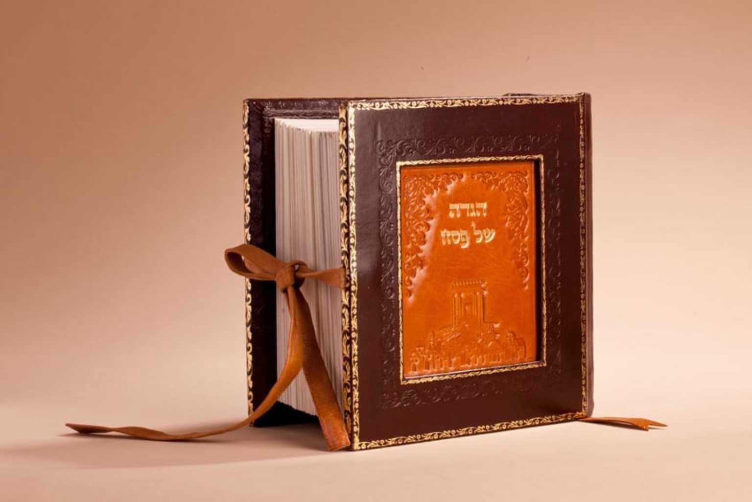 הגדה של פסח מאוירת